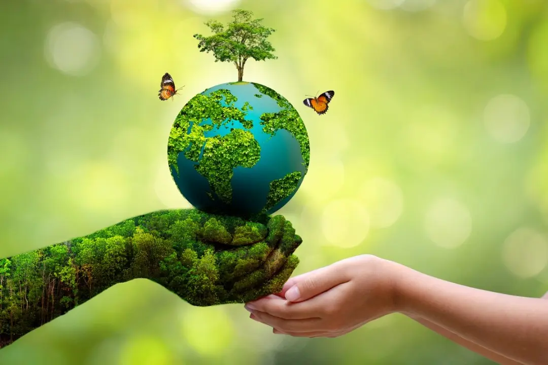 Hands holding a green earth surrounded by nature